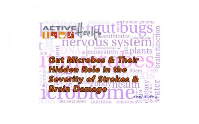 Gut Microbes and Their Hidden Role in the Severity of Strokes and Brain Damage