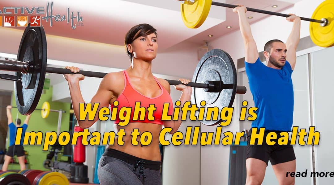 Weight Lifting Better than Cardio workouts for Improving Cellular Health