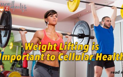 Weight Lifting Better than Cardio workouts for Improving Cellular Health