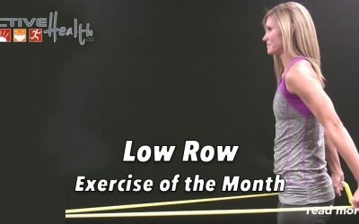 Exercise of the Month – (Low Row)