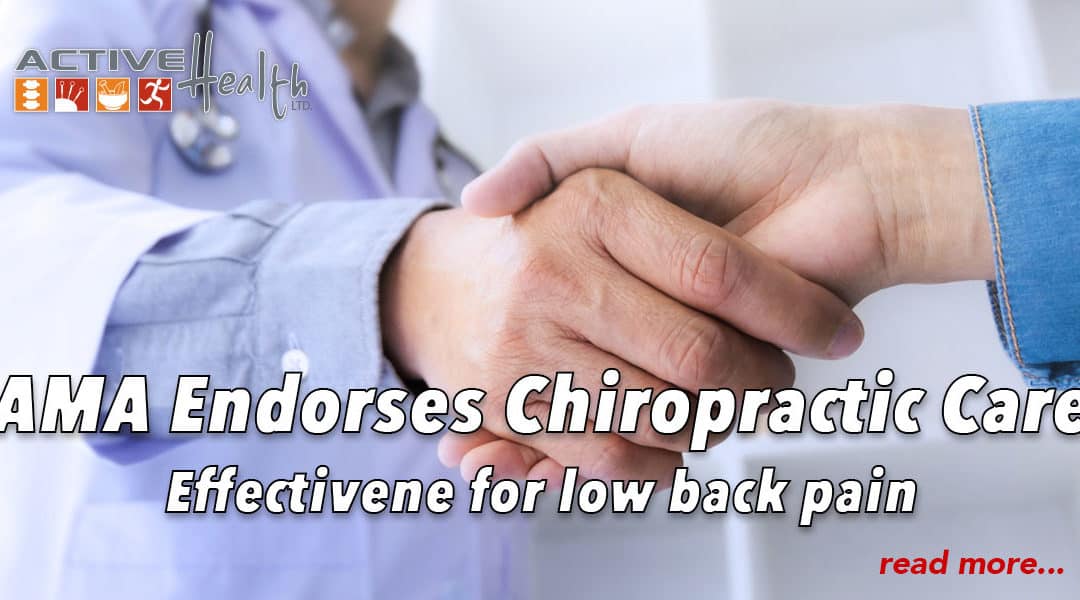 American Medical Association Endorses Chiropractic Care