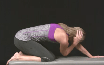 Exercise of the Month – (Thoracic Rotation)