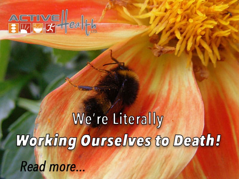 We’re working ourselves to death—literally…