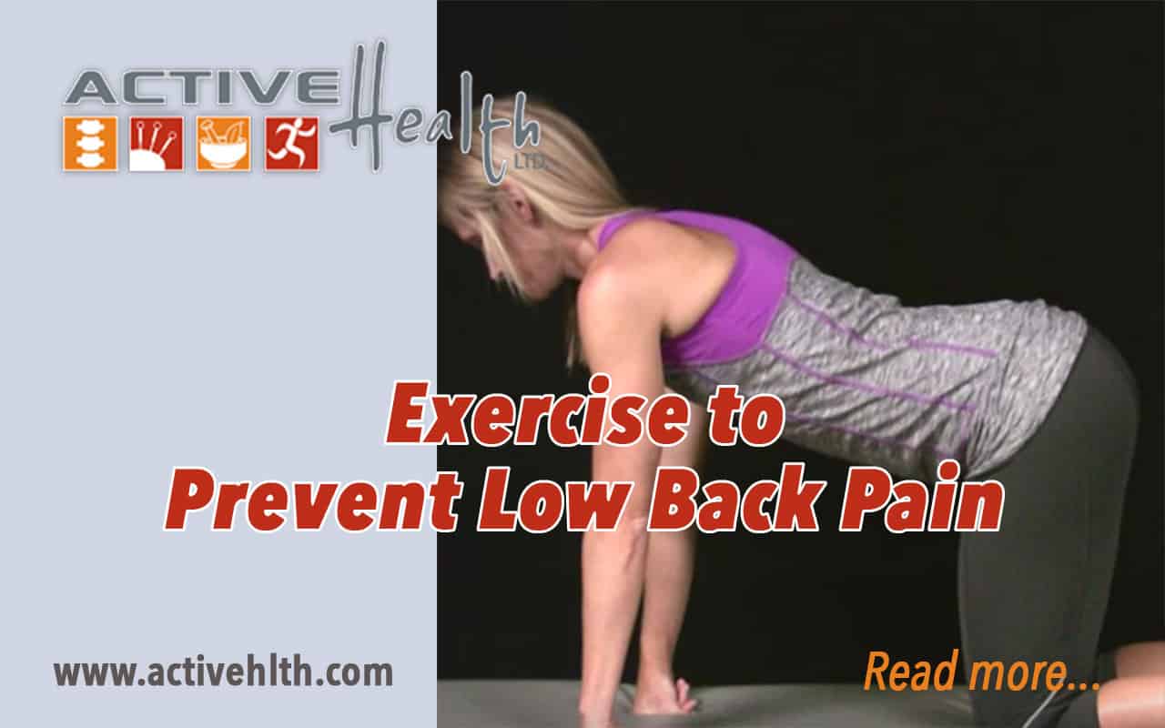 want-to-prevent-low-back-pain-exercise-chiropractor-park-ridge-il-active-health