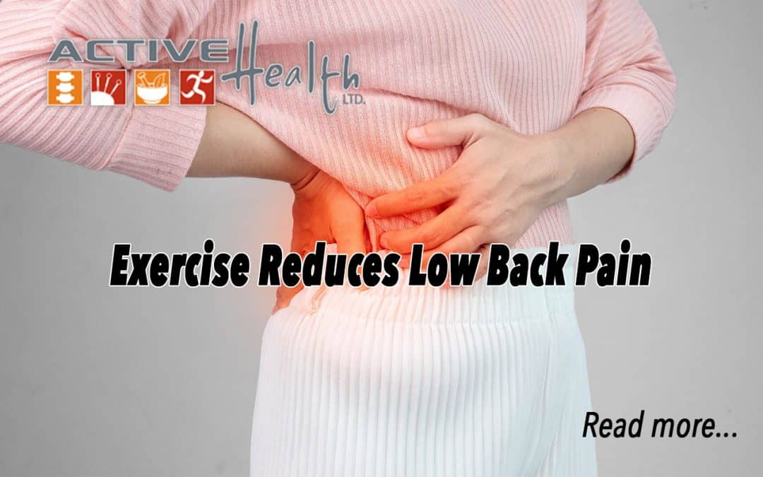 Exercise Reduces Low Back Pain