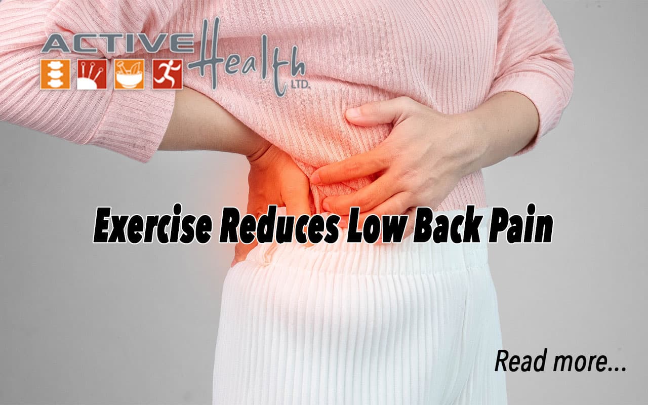 Exercise Reduces Low Back Pain - Chiropractor - Park Ridge, IL - Active ...