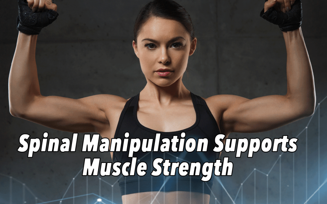 Spinal Manipulation + Muscle Strength