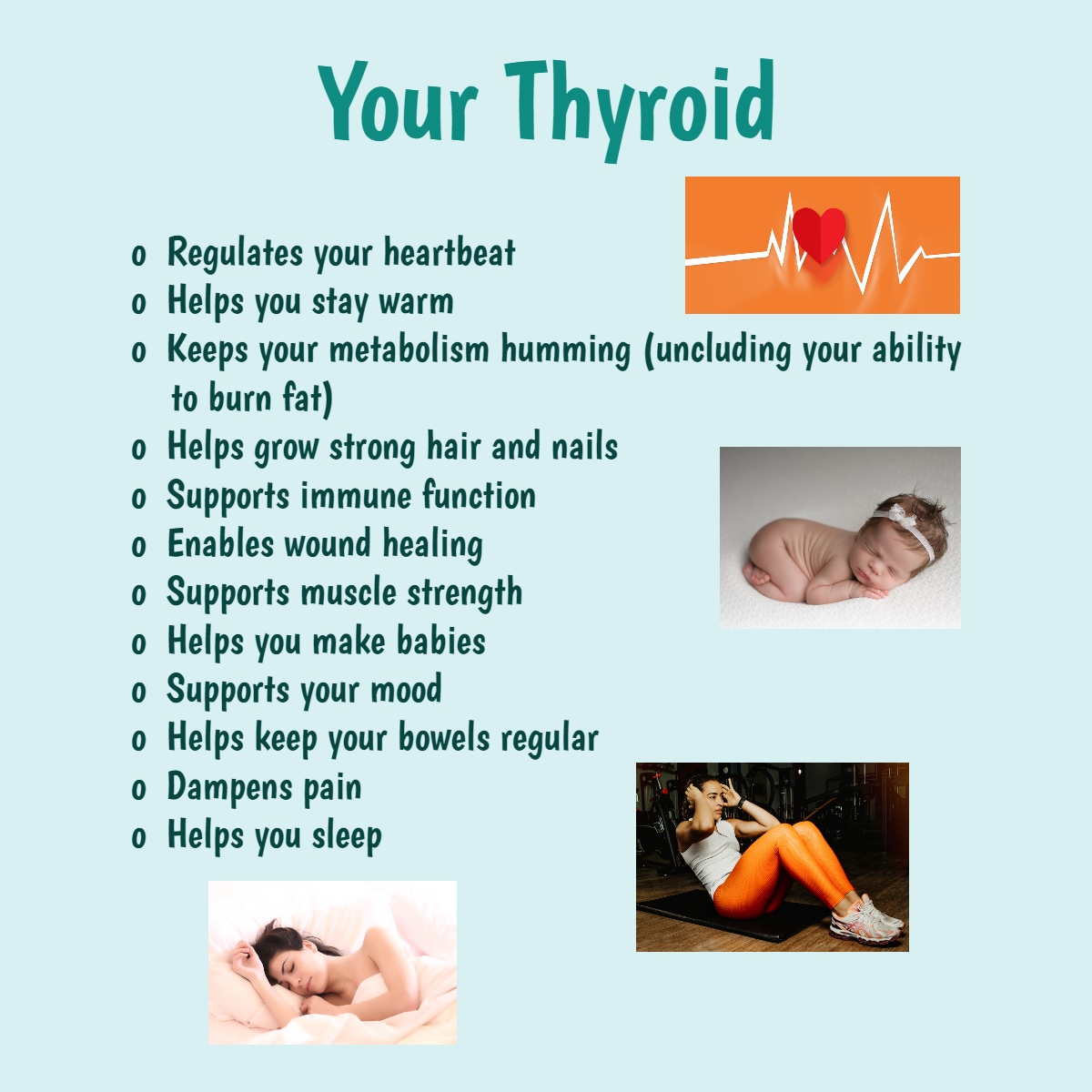 thyroid gland regulates hormone