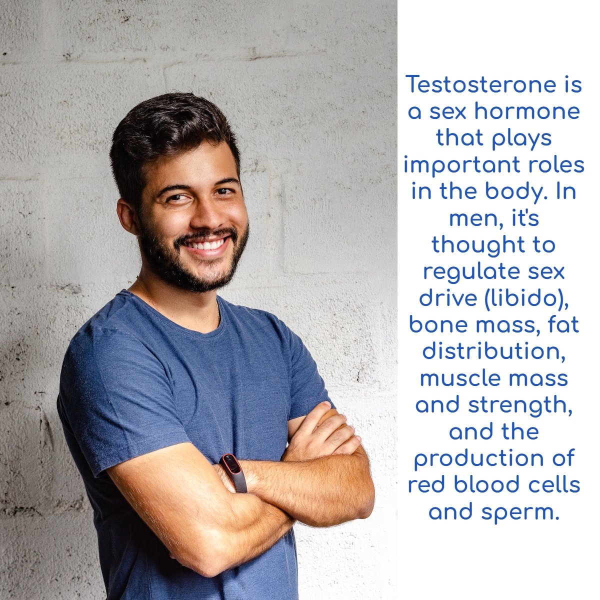 testosterone is an important hormone